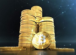 Giá bitcoin hôm nay 25/7: Tăng nhẹ 7 ngày liên tiếp