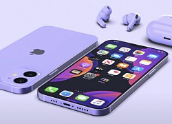 iPhone giá rẻ mới của Apple sẽ có màn hình lớn như iPhone 11