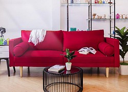 Những điều cần nhớ khi trang trí sofa hợp phong thủy, ai làm được điều thứ 4 gia đình vượng khí, tiền tài mau chóng tụ về