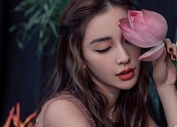 Thật hư chuyện Angelababy bị Dior ghẻ lạnh, mất vị thế độc tôn vào tay Triệu Lệ Dĩnh