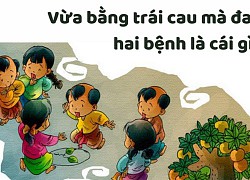 Vừa bằng trái cau mà đau hai bệnh, là gì?