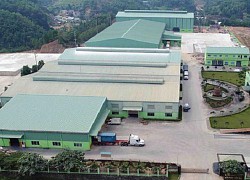 An Tiến Industries (HII): Dòng tiền kinh doanh tiếp tục âm, lãi ròng quý II giảm 24%