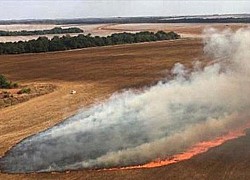 Báo động cháy rừng ở Brazil và Mỹ