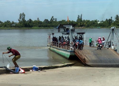 Chuyến phà chiều về cù lao trên sông Tiền