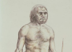 Gene lặn của người Neanderthal khiến chúng ta nhạy cảm hơn với vết đau