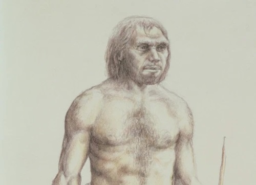 Gene lặn của người Neanderthal khiến chúng ta nhạy cảm hơn với vết đau