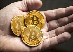 Giá bitcoin hôm nay 1/8: Quay đầu tăng mạnh, hiện ở mức 11.283,31 USD