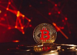 Giá Bitcoin hôm nay 3/8: Thị trường cháy đỏ, Bitcoin rơi tự do