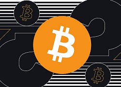 Giá Bitcoin hôm nay ngày 1/8: Tăng mạnh trở lại, giá Bitcoin tiến sát mốc 11.300 USD/BTC