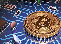 Giá Bitcoin hôm nay ngày 3/8: Sàn đỏ lửa, giá Bitcoin sụt giảm 614 USD/BTC