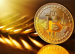 Giá Bitcoin vượt kỷ lục 12.000 USD/đồng