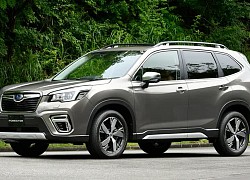 Giá ô tô Subaru tháng 8/2020: Forester, Outback tăng trở lại