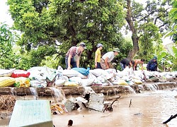 Hà Nam bảo đảm an toàn hệ thống đê điều, thủy lợi