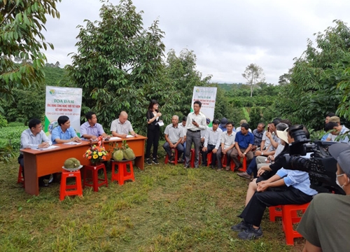 Kỹ thuật này giúp người trồng cà phê bớt lo thiếu nước, tốn phân, còn giảm 10-18 triệu chi phí/ha