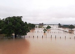 Một người chết, nhiều công trình dân sinh hư hỏng do bão số 2