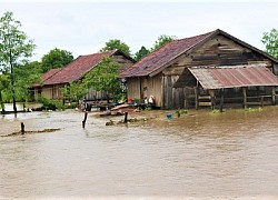 Mưa lũ gây thiệt hại nặng cho huyện biên giới Ea Súp