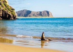 Mỹ lên án tàu cá Trung Quốc đánh bắt 'cướp bóc' ở quần đảo Galapagos