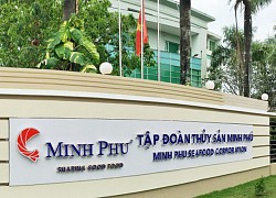 Thủy sản Minh Phú (MPC), quý II/2020 lợi nhuận 105,1 tỷ đồng, giảm 38,9%