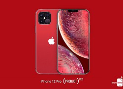 Tin vui về iPhone 12 Pro