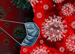 Việc cần làm chặn vi khuẩn, virus lây lan