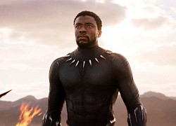 5 điều ít ai biết về Chadwick Boseman: Được Marvel mời đóng Black Panther, nỗ lực cống hiến đến hơi thở cuối cùng