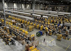 Amazon đặt mua 1.800 xe tải giao hàng chạy bằng điện