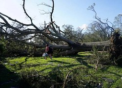 Bão Laura tấn công Louisiana, 6 người chết