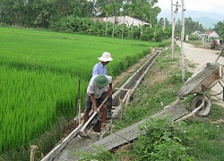 Có "bà đỡ" là Hợp tác xã Đại Hiệp, nông dân sản xuất nhàn hẳn