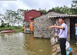 Dưới ruộng lúa thả cá tung tăng bơi lội, trên bờ trồng rau quả, nông dân lãi trăm triệu/vụ