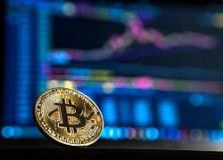 Giá bitcoin hôm nay 28/8: Quay đầu giảm nhẹ, hiện ở mức 11.385,74 USD