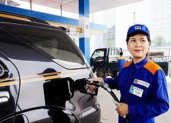 Giá xăng dầu hôm nay (29/8): Dầu thô tăng giá trở lại sau cơn bão Laura