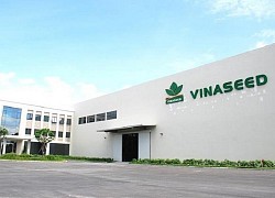 Giống cây trồng Việt Nam (NSC) dự kiến chốt cổ tức đợt 1/2019 với tỷ lệ 15%