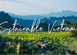 Green Travel - Trang quảng bá du lịch bền vững tới thị trường quốc tế