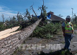 Mỹ: 14 người thiệt mạng do bão Laura