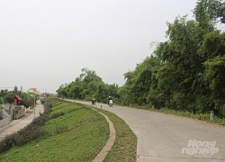 Nam Định xây dựng gần 20 km đê kiểu mẫu