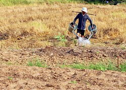 Nguy cơ thiếu hụt nguồn nước cho sản xuất