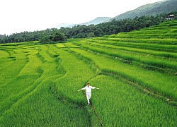 Ba ngày trốn nóng ở Pù Luông