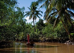 Sông nước miền Tây đẹp như mơ qua ảnh phó nháy Hà Lan