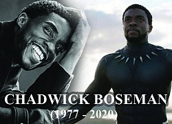 Chadwick Boseman &#8211; Báo Đen của điện ảnh Marvel về với Chúa ở tuổi 43