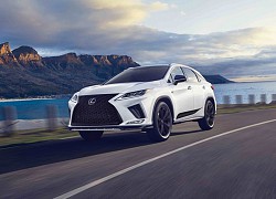 Lexus RX Black Line 2021 - thêm tùy chọn SUV hạng sang