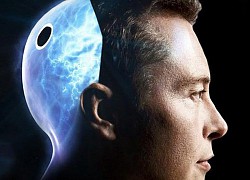 Neuralink cấy chip vào não lợn để chữa bệnh cho người