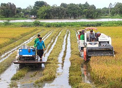 6 tháng đầu năm Tập đoàn Lộc Trời (LTG) báo lãi sau thuế 116 tỷ đồng