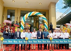 Bamboo Capital (BCG), quý II/2020 doanh thu đạt 522 tỷ đồng, tăng 11,4%