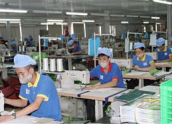 Chuẩn bị lên sàn, Thuận Đức (TDP) báo lãi quý II/2020 đạt 15,9 tỷ đồng, tăng 17,8%