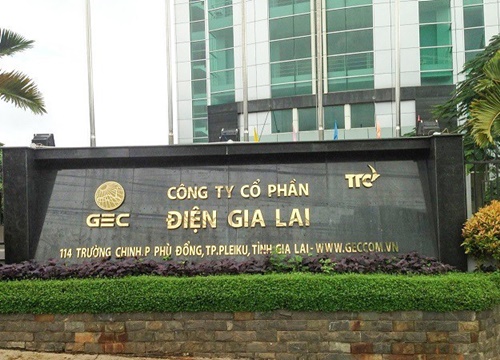 Điện Gia Lai (GEG), quý II/2020 chi phí lãi vay tiếp tục tăng làm lợi nhuận giảm 35,7%