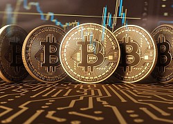 Giá Bitcoin hôm nay ngày 6/8: Tăng mạnh 451 USD, giá Bitcoin vượt mốc 11.600 USD