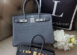 Hermès da cá sấu và những mẫu túi xách được đấu giá cao nhất