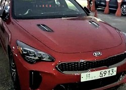 KIA Stinger 2021 lăn bánh trên đường phố