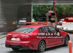 Kia Stinger 2021 lộ diện, hứa hẹn mang động cơ 'khủng' đấu Mercedes-Benz C-Class và BMW 3-Series