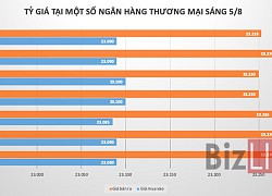 Ngân hàng Nhà nước đang "chặn" tỷ giá USD/VND?